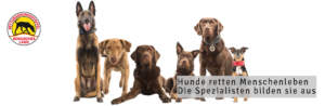 startseitengrafik rettungshunde bergischesland