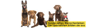 Rettungshundestaffel Bergisches Land e.V. Startseitenbanner