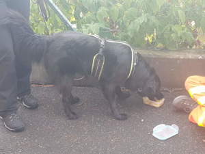 MT-Seminar Westerwald 2018