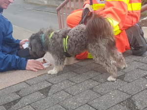 MT-Seminar Westerwald 2018