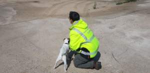 WO-Training RHS Jade Emmerich 2018