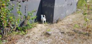 WO-Training RHS Jade Emmerich 2018