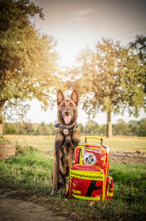 startseite_hundefoto_005