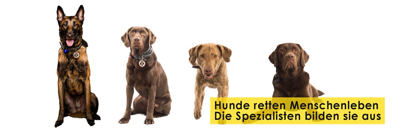 Rettungshundestaffel Bergisches Land e.V. Titelbild Startseite